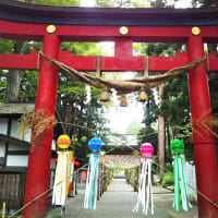 会津美里町デザインマンホール