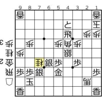 「立石径ショック」と伝説の詰み　南芳一vs谷川浩司　１９９１年　第５９期棋聖戦　第１局　その２