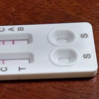 インフルにやられる