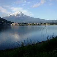 ブログ引っ越し　　２