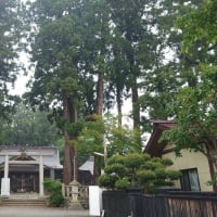 りんごう朝市へ行ってきました（その４）
