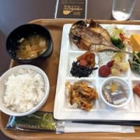 大人の休日倶楽部パス　1日目（静岡県）