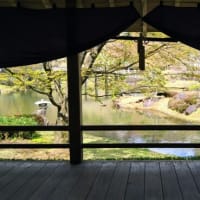修善寺の美味しいお弁当