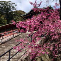 【誕生日はバイク旅だ】その３.久能山東照宮