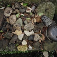 この猛暑の中を…吟行会？ナント物好きな…
