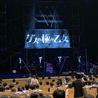 ゲスの極み乙女「ナイトグラピング」