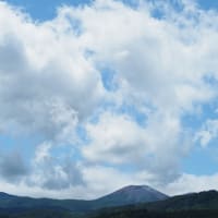 梅雨入りの翌日、青空の下のあづま総合運動公園にて（2025.6.15）#2 せせらぎ・桜の広場、しゃくなげの丘