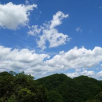 真夏の暑さにジリジリと・・・・！！