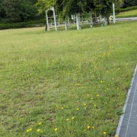今朝の防災公園