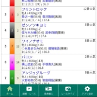 菊花賞の前の🐴が荒れる