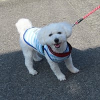3日続きの猛暑日。