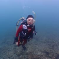 海からのお便り(^^)/