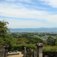 矢田寺 紫陽花