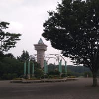 久しぶりの相模原公園