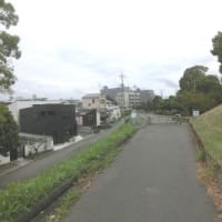 鳥飼大橋と舟渡し（東海道五十七次歩き旅・摂津国）