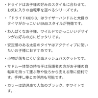 サイクルベースあさひ　子供用自転車　ドライド　KIDS B