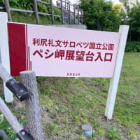 利尻島、礼文島の旅　2025/6/23〜25その1