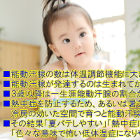 汗と冷房と熱中症と温暖化８／なぜ汗をかけなくなるのか