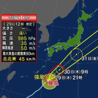 2024年台風1号：5月29日夕方にかけ 大東島地方に最接近の見込み
