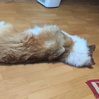 誰かな？