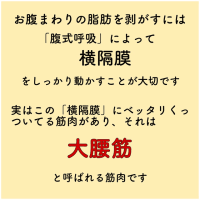 腰痛　お腹まわりのダイエット