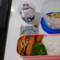 節約お弁当🥰