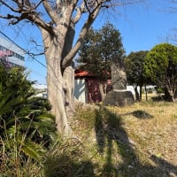 くどいかもだけど。