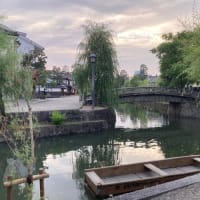 6月21日(土）　今日は夏至