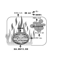 よくない生活習慣とミトコンドリアの暴動