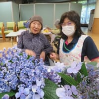 紫陽花喫茶