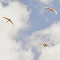 皆様、Ｇｏｏブログ様、今までありがとうございました！