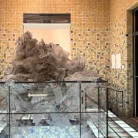 開館40周年記念「子午線上のアートⅡ」行ってきました~。