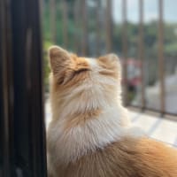 無事に帰還しました