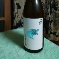 日本酒が止まらない⁉️
