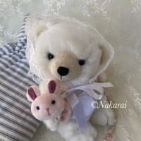 コンベンションからただいま♪おうちでおうち探し2025sprinng終了しました。