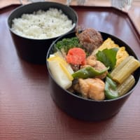 ラワンブキと昨日のお弁当