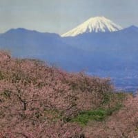 4月5日　小田切いくみアナ