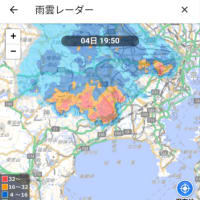 荒れてきたよ
