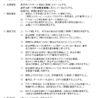 第２９回あやめモーニング大会要項
