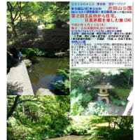 施設案内東京-527　池田山公園　