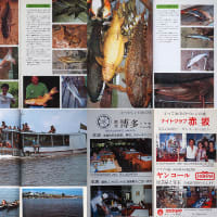 ■私を南米放浪の旅へ誘った70・80年代の雑誌ブームとバックパッカーのガイドブックと地図