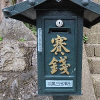 イソツネ山（多摩百８５）撤退
