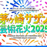 茅ケ崎サザン芸術花火2025