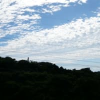        つかの間の晴れでリセット・・・