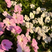 すべては最終回