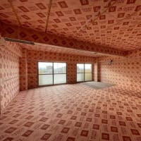 「モイスと木でつくるマンションリノベ」