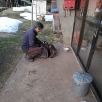 ただ今、捕獲中