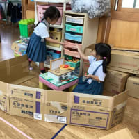 段ボール遊びをしたよ♥（ふじ組）