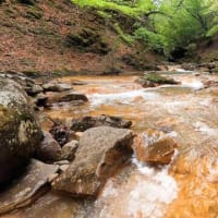 那珂川水系、箒川・赤川本谷