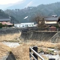 鷺を撮影する